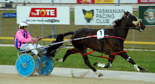 Southern Boy (Justin Howlett) in full flight on his way to victory in Hobart
