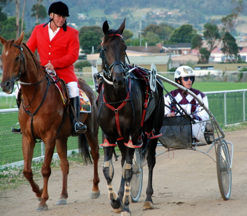 Bettors Strike returns after demolishing a star-studded field in the Wrest Point Tasmania Cup
