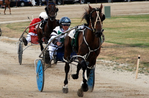 Duart Castle (Damian Spring) easily wins the MDC Mechanical Novice Driver's Pace at Burnie
