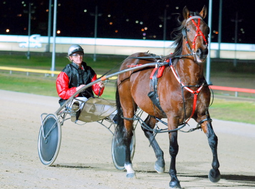 Mountain Glory with Maree Blake in the cart parades in harness at Tattersall's Park in Hobart last Sunday night

