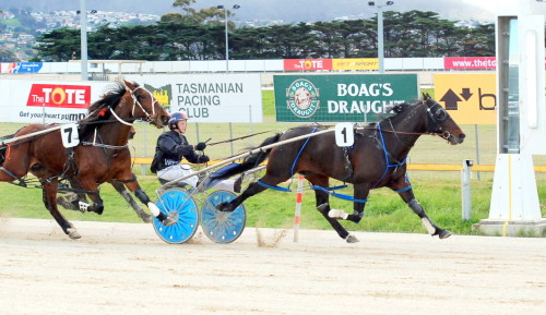 Bro Town (Mark Yole) scores comfortable win in a C0 in Hobart
