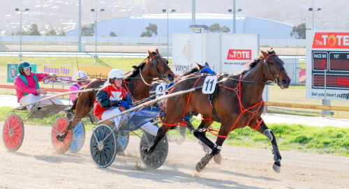 Saab Quality (Alex Ashwood) storms home to win a C1 for novice drivers in Hobart
