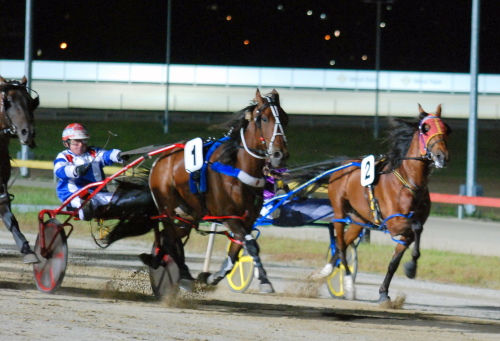 Tasmania Cup winner Our Chain Of Command grabs Gedlee in the straight
