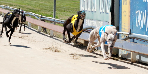 St Pierre defeats Banger Harvey and race favourite I'm A Fencer (7) in today's Group 3 Devonport Cup
