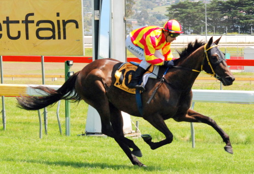 Egyptian Princess (Kane Bradley) easily wins maiden at Tattersall's Park on carnival opening day
