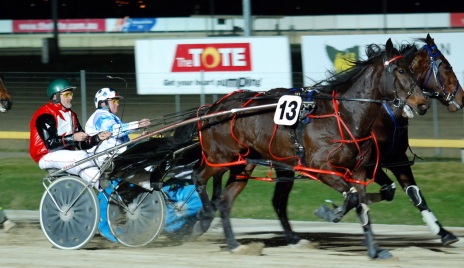 Saab Quality - could head to Devonport Cup
