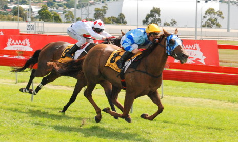 Huon Cry winning on Hobart Cup day - she will be Clifford's last runner as a trainer in his home state
