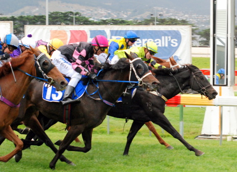 Vevi (Talia Rodder) bursts through just in time to win her maiden in Hobart

