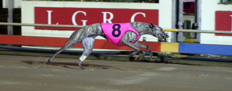 Ming Dynasty - put up a sensational performance to win her state heat of the National Distance Championship
