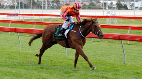 Randburg (Stephen Maskiell) easily accounted for a field of maidens over 1400m in Hobart
