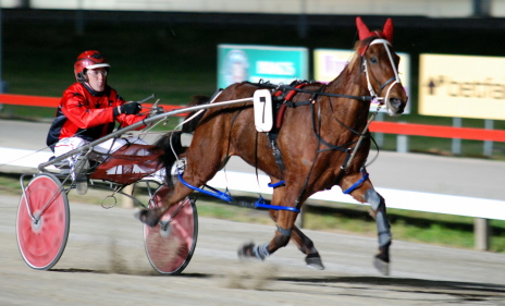 Glory Jasper (Nathan Ford) on his way to an impressive win in a C1-C2 ov er 2090m at Tattersall's Park in Hobart
