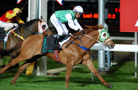 Obstinado (Johnny Luxe) strides clear to win an open handicap in Launceston on Thursday night
