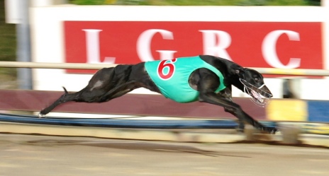 New distance makes debut in Hobart
