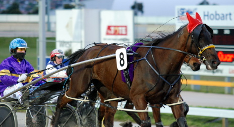 Zurbaran (Alwex Ashwood) wins an action packed race at Tattersall's Park in Hobart
