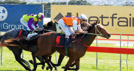Gee Gees Cashcard finishes inside a half-length of the highly promising Westering Home in Hobart on October 2
