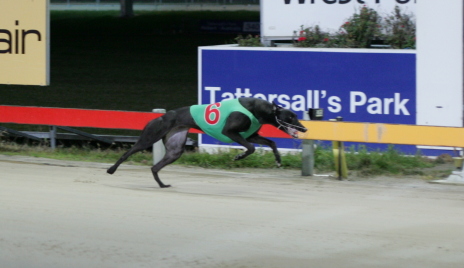 Millie Grace returns to the winning list with a comfortable victory in Hobart last Thursday night
