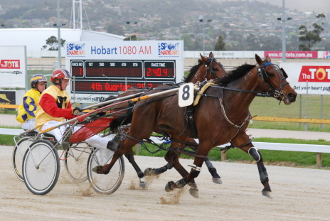 Rustle Murray (Gareth Rattray) powers his way to an impressive win in a 3YO Maiden in Hobart
