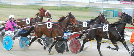 Pay Me Bro (Craig Toulmin) about to take off and haul in the leadsrs on his way to an impressive debut win in Tasmania
