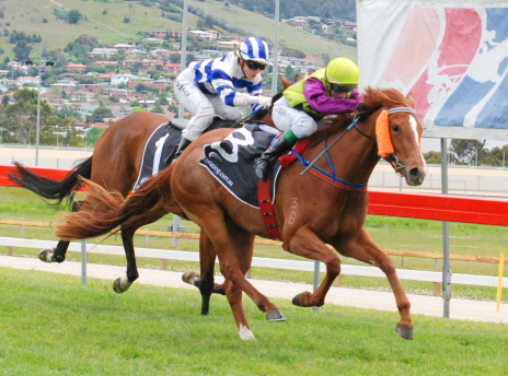 Gee Gee's La Quita (Rasit Yetimova) poiwers her way to victory in a maiden-class one at Tattersall's Park over 1550m
