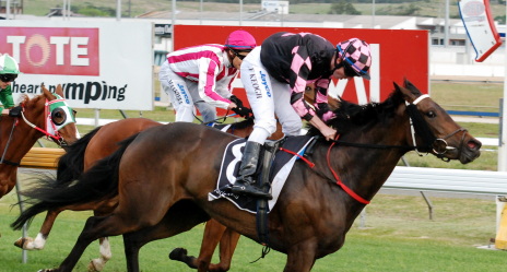 What A Life defeats Danestone two weeks ago - can danestone turn the tables at The TOTE Racing Centre tonight?
