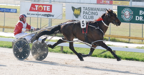 Ciskei (Gareth Rattray) powers his way to an impressive win in the Master Barry Pace (3C0-3C1) at Tattersall's Park
