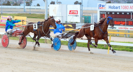 Buddy Beauty (Ricky Duggan) defeats One Way Road (James Austin) in a C2 at Tattersall's Park
