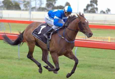 Bionic Star with Brendon McCoull aboard easily wins a 3YO handicap at Tattersall's Park over 1200m
