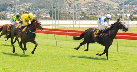 Strictly Romance holds out Hailed in the run to the line at Tattersall's Park
