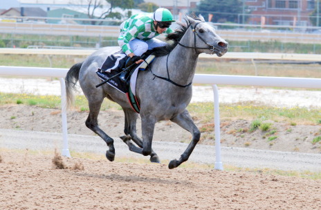 The Sugar Mouse (Kelvin Sanderson) on her way to an effortless nine-length win at Tapeta Park
