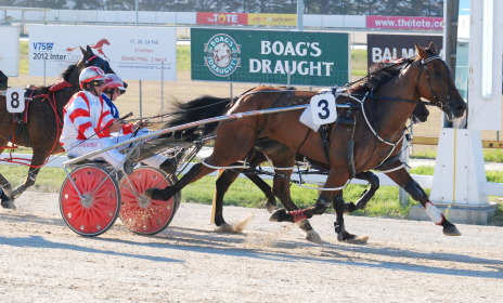 Reallyimaterminata (Justin Campbell) wins the TOTE Tasmania Pace in Hobart last Sunday night
