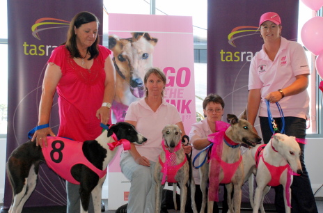 Pink dogs power up at Devonport
