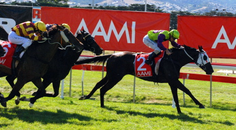 Geegees Blackflash defeats Viking Hero and Dream Flyer in the AAMI Hobart Cup
