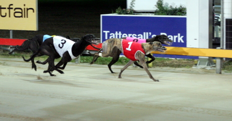 Your Time holds out Able Lad (8) and Times Of Grace (3) to win a grade four in Hobart
