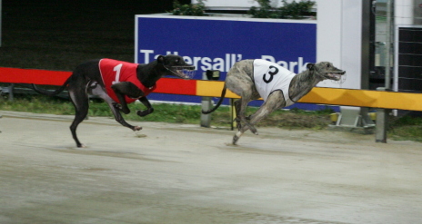 Shanlyn Hirdy scores from Zavance Man in a heat of the Silver Trophy
