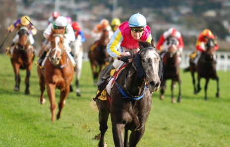 Spy Wears Prado makes his rivals look like a blur in the background on his way to winning a strong class 1 Hcp over 1400m
