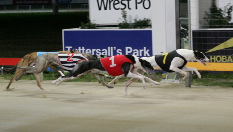 Jethro wins from Lika Whisper and Shanlyn Hirdy
