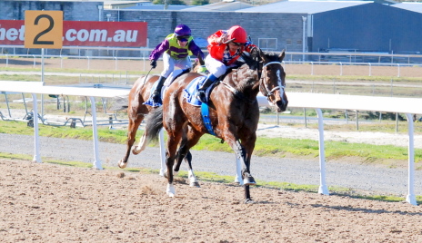 Scoville powers her way to an impressive win in the class one over 1350m at Spreyton Park