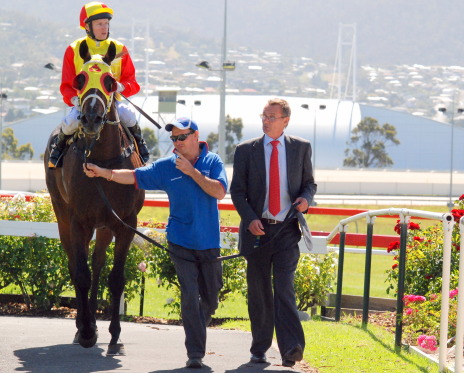 Barysh Quest returns from winning Hobart Guineas with Craig Newitt aboard and led by Gary White's stable foreman David Moor and part-owner Stuart Hallam