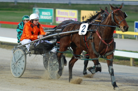 Rough And Reckless with Mark Geeves aboard powers home to win a C0 in Hobart