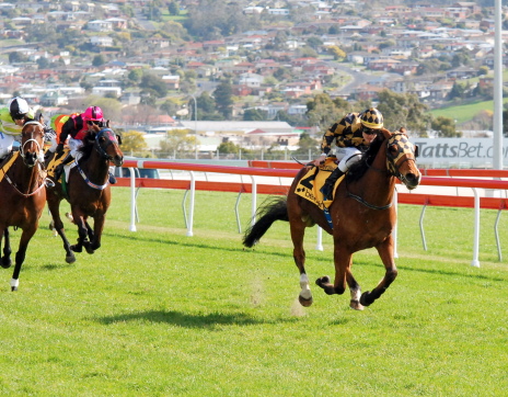 Deputy Duke storms clear of his rivals in a maiden at Tattersall's Park