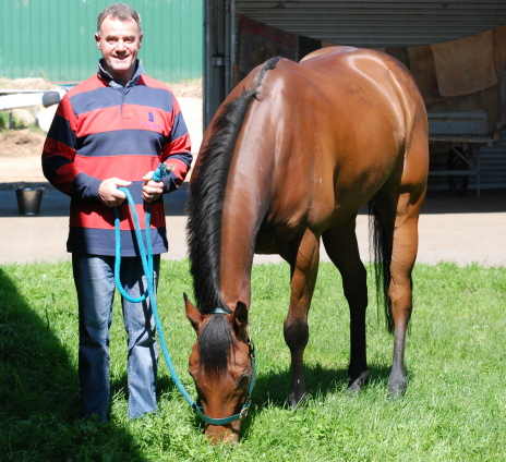 Trainer Gary White lets Remmi Raider have a pick of the spring grass in the middle of his stable complex