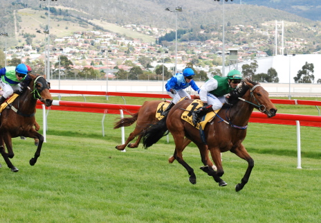 Bag Of Monkeys poowers clear of his rivals at Tattersall's Park over 1000m