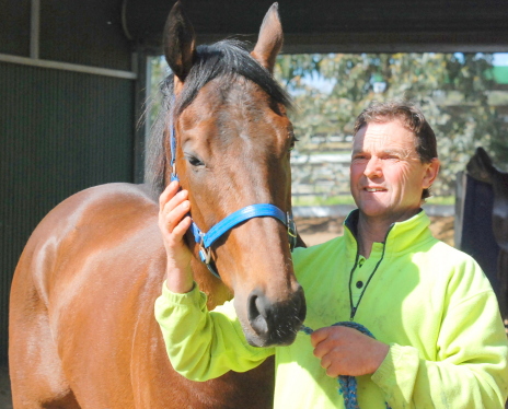 Mister John with his trainer Royston Carr after the gelding's trackwork gallop at Brighton earlier this week
