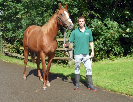 Marcus Oldham graduate, Sam McMillan, with yearling colt by Hernando out of Ryella. Both stallion and mare are owned by Kirsten Rausing of Lanwades Stud.