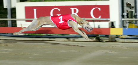 Surf Osti wins the Middle Distance Championship (600m) in Launceston
