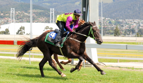Gee Gee Black Fury (David Pires) wins his trial at Tattersall's Park yesterday (Tuesday)