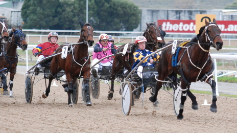 Action from the first harness meeting held at Tapeta Park in July