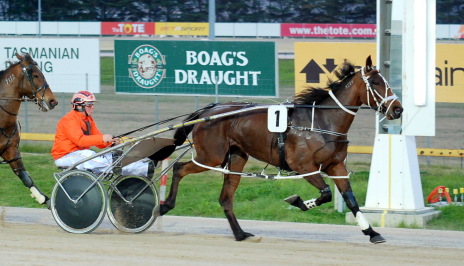 Action from Hobart - this is not Margin Girl
