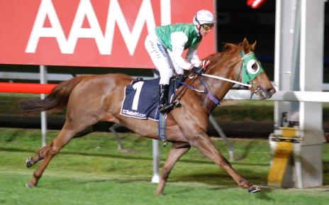 Galibier winning in Launceston on October 24 - he will have his share of support in the Newmarket