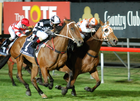 Si Vite (Anthony Darmanin) (outside) edges out Hell Strong (Craig Newitt) in a thrilling finish to the BM78 over 1600m in Launceston last Wednesday night